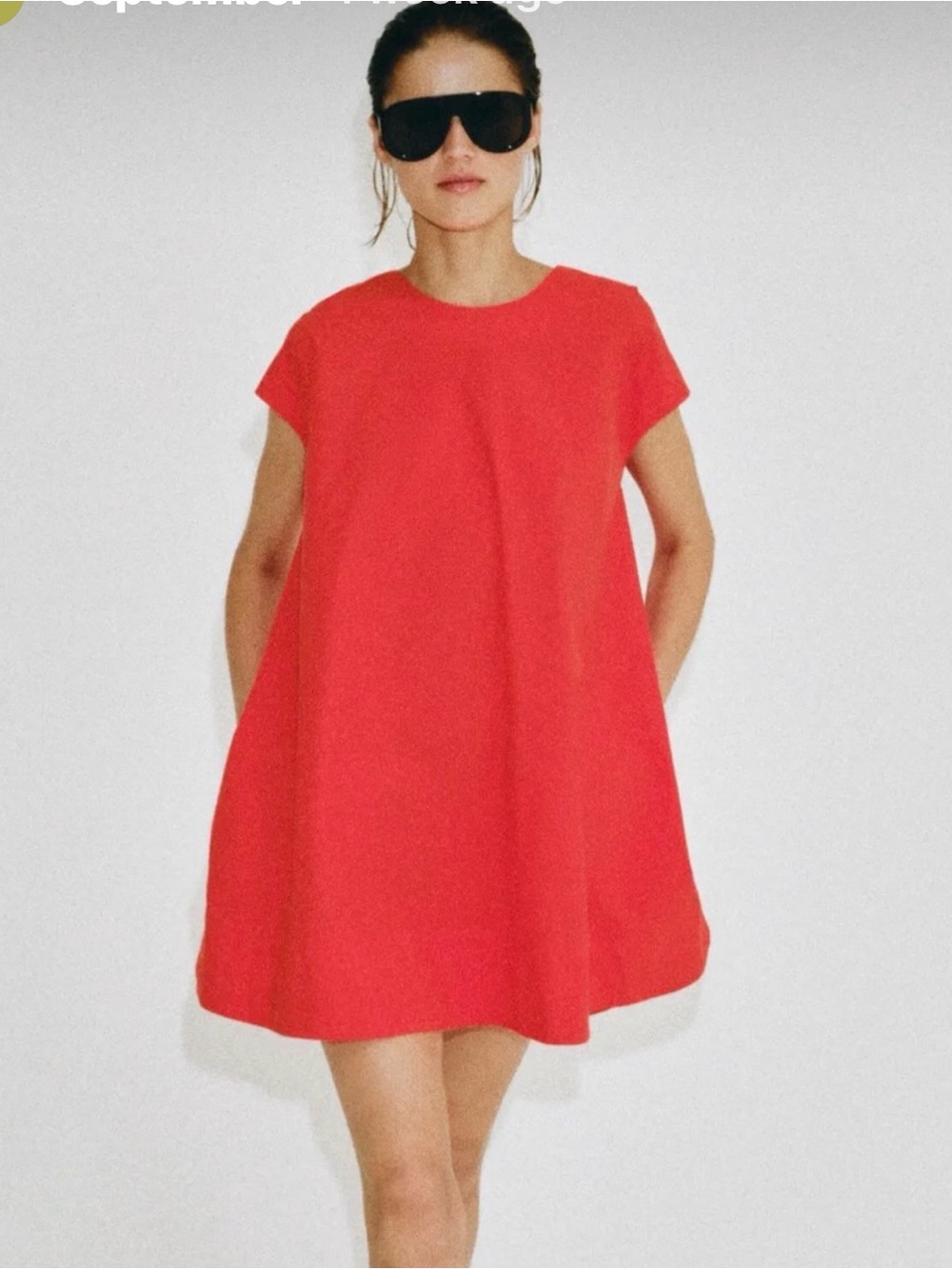 Zara Poplin Mini Dress